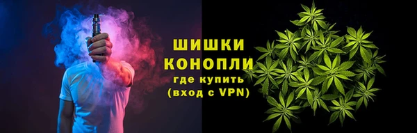 трава Лабытнанги