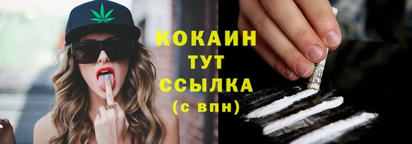 трава Лабытнанги