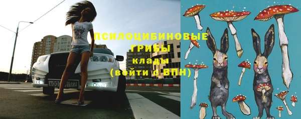 трава Лабытнанги