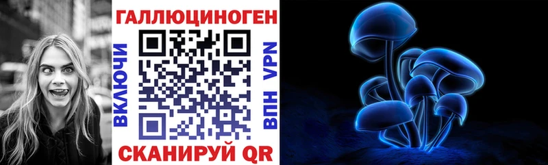 Купить закладки Бугуруслан Псилоцибиновые грибы Psilocybe